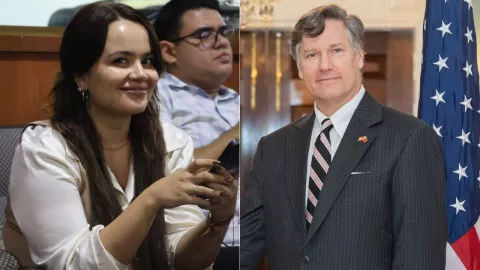 Christopher Landau visa