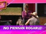 Estos Granjeros NO piensan rogarle a Fernando Lozada para que los salve en La Granja VIP