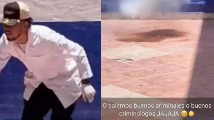 Le amarraron pirotecnia y lo hicieron explotar, así fue como estudiantes mataron a un gato en Guanajuato