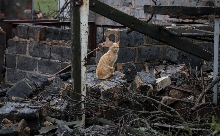 Rusia cometió crímenes de guerra