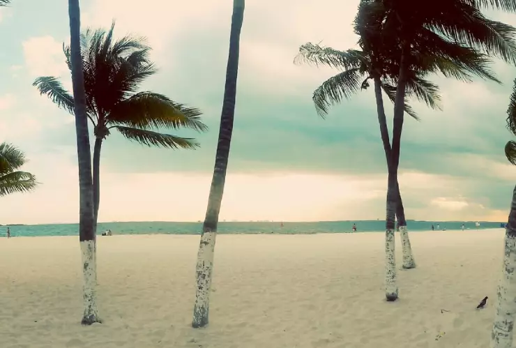 Quintana Roo_ Estos son los puertos cerrados a la navegación por evento de Surada.jpg