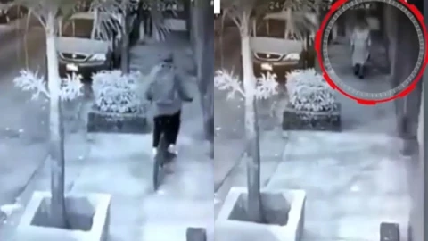 Guadalajara abuelita agresión video