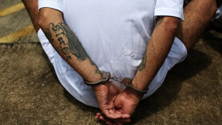 ms13