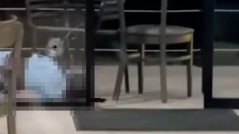 Ataque armado Pichucalco