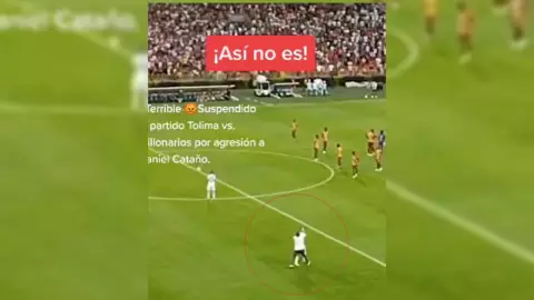 Aficionado se mete a la cancha y AGREDE a futbolista (VIDEO)
