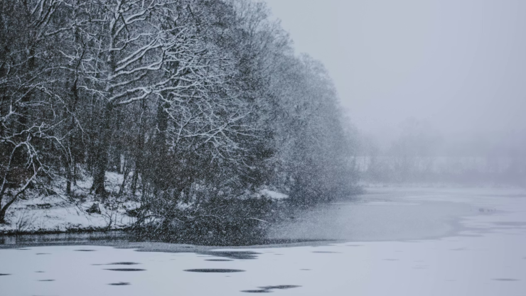 Temperaturas bajo cero y nevadas intensas azotan gran parte de Estados Unidos