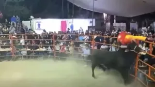 VIDEO: Toro embistió al payaso “Limoncito” en pleno jaripeo en Izúcar