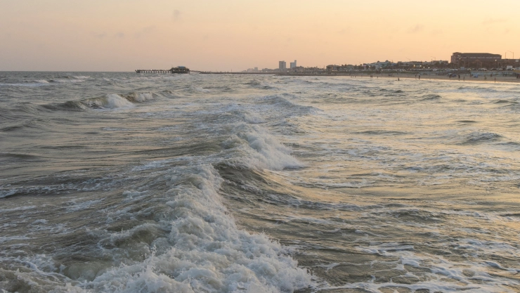 Mar de Galveston, Texas