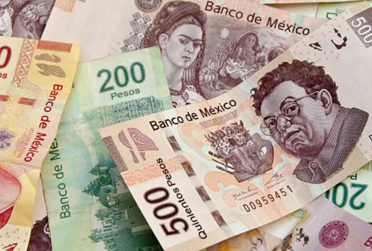 A partir del próximo 1 de febrero se actualizará la Unidad de Medida y Actualización (UMA).