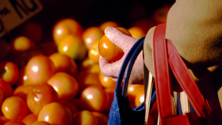 Precio tomate hoy