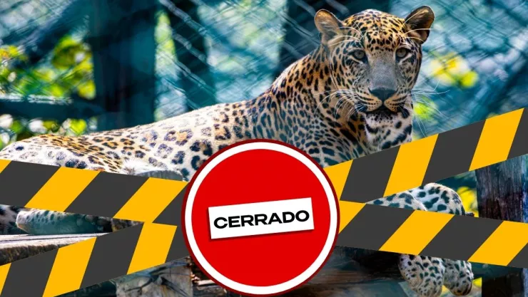 Cierre definitivo de Zoológicos en Veracruz