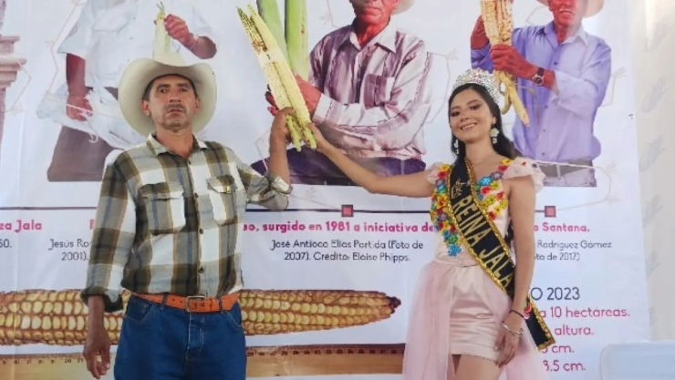 ¡Orgullo mexicano! Nayarit tiene el elote más grande del mundo