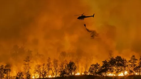 Incendios Green Fire y Orleans Complex mantienen alerta en California tras casi un mes activos