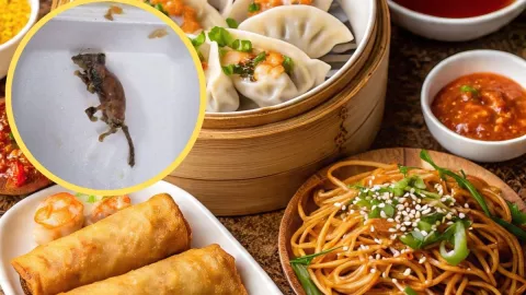 Ratón es hallado en plato de comida en Boca del Río