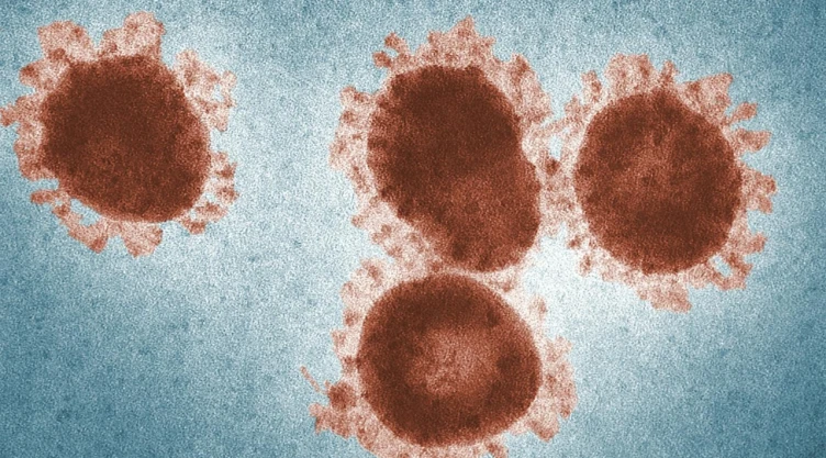 Confirman-2-casos-de-virus-hmpv-en-México-no-representa-una-alerta-de-salud-pública-autoridades