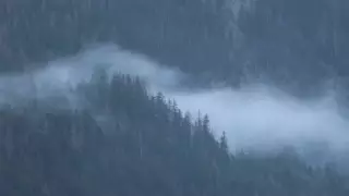 Clima en Morelos HOY