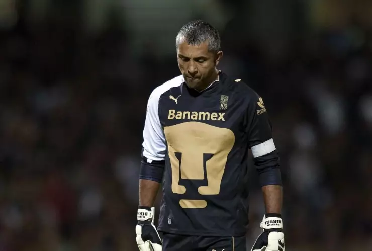 Bernal exportero de Puma