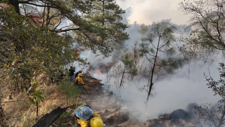 incendio_tepozteco.jpg
