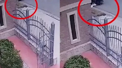 ¡Terrible! Hombre muere al caer de una camilla; apenas lo habían dado de alta en Argentina