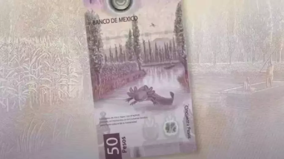 ¿Lo tienes_ Dan hasta 900,000 MIL por este billete de 50 pesos con estas características.