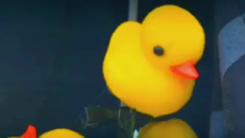 Patitos Kawai en la Feria de Leon 2024