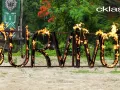 Inicia el duelo de la extinción en Survivor México 2023.