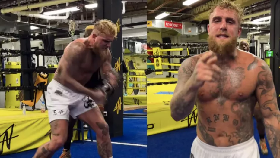 jake paul pelea chavez jr