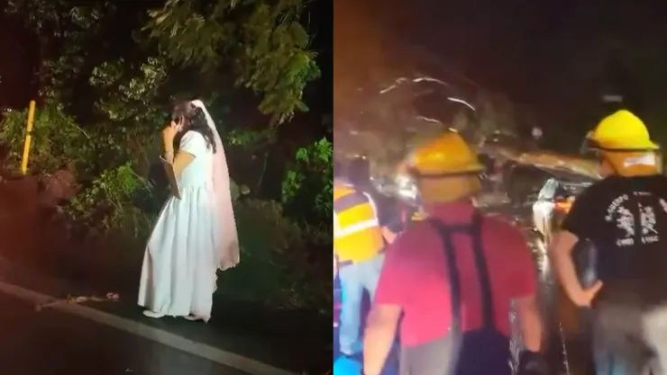 Árbol cae sobre recién casados mientras iban a su luna de miel; sobrevivieron