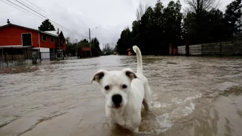 lluvia cdmx alerta en iztapalapa