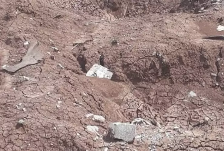 encuentran a queretano emir yumel en fosa clandestina en san luis potosi.png