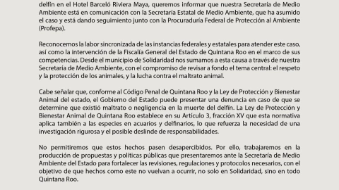 La presidenta municipal, Estefanía Mercado, emite comunicado ante el caso de la muerte de delfines en la Riviera Maya.