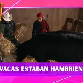 ¡Ni la comida de las vacas distinguen! Rafa Mercadante se molesta por un GRAVE error en La Granja VIP