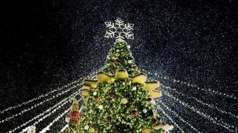 fecha del encendido del árbol de navidad en querétaro este 2024.jpg