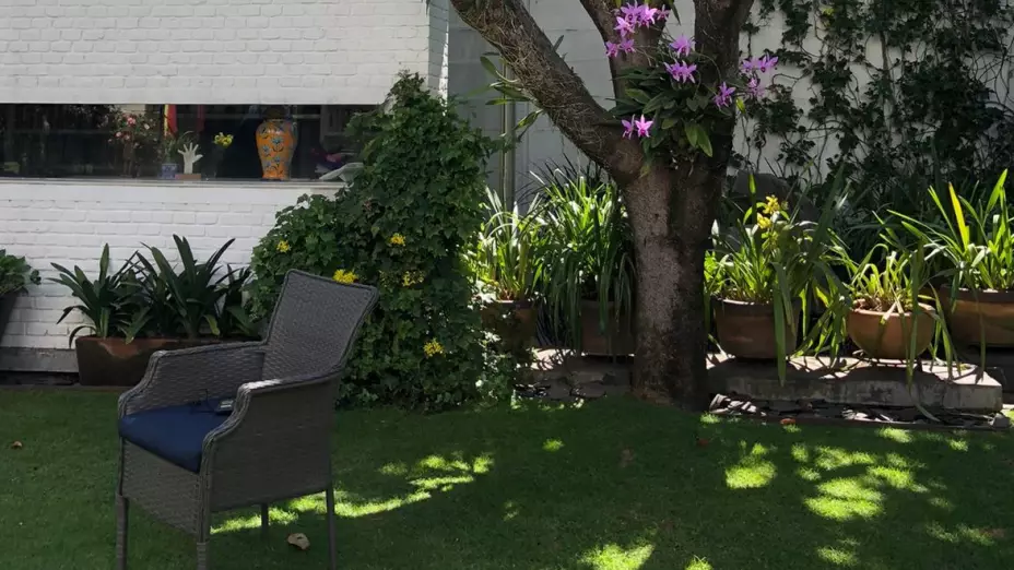El jardín de la casa.jpeg