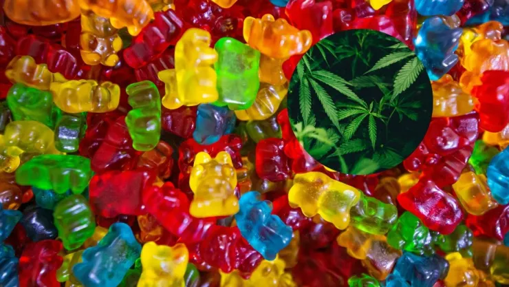 ¿Qué pasó con los alumnos que comieron gomitas con Marihuana en Nueva York?