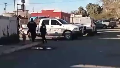 Niña de 3 años muere tras ser atacada por un perro en Mexicali