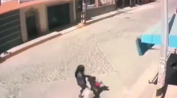 niña perros pitbul edomex.jpg