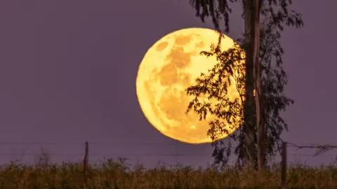 Superluna de octubre 2024 Fecha y hora para verla desde Aguascalientes y Zacatecas