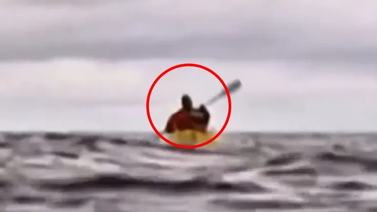 VIDEO | Joven es tragado vivo por una ballena jorobada