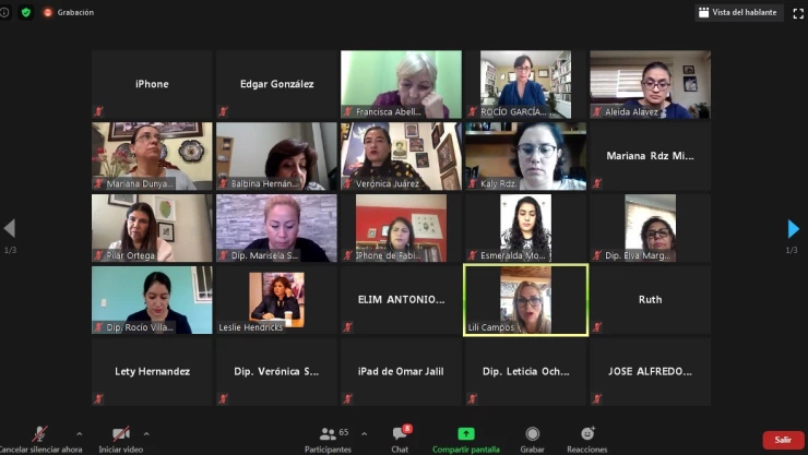 anteproyecto feminicidios.jpg