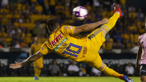 Tigres 