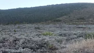 Alertan por riesgo de heladas en Puebla hoy: Zonas afectadas por bajas temperaturas