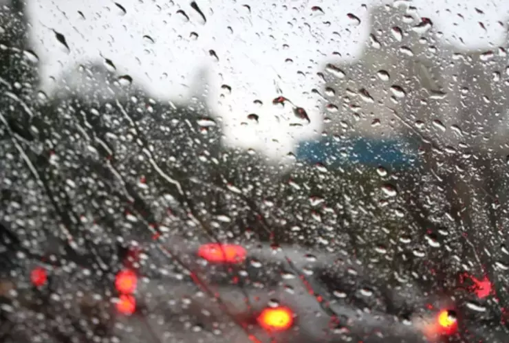 Texto del párrafo - 2025-05-08T165122.130.jpg