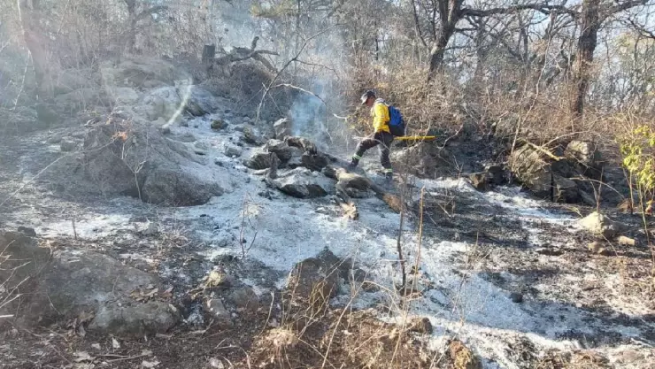 Fuerte incendio forestal en Taxco se extiende hasta Juliantla, Guerrero