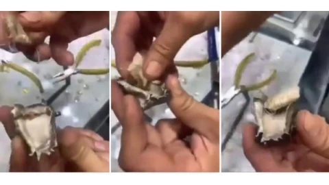 Mujer halla BRUJERÍA en regalo de bodas que su mejor amiga le dio 20 años atrás