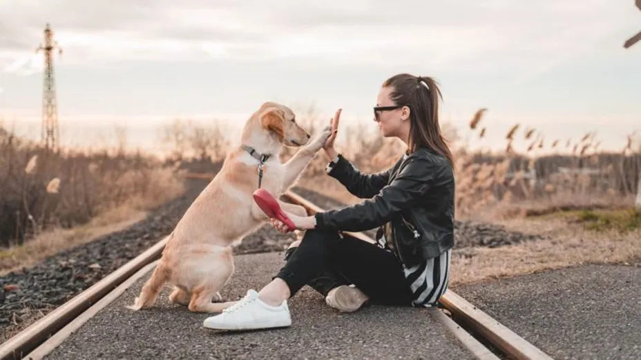 Perrito_Full Life.jpg