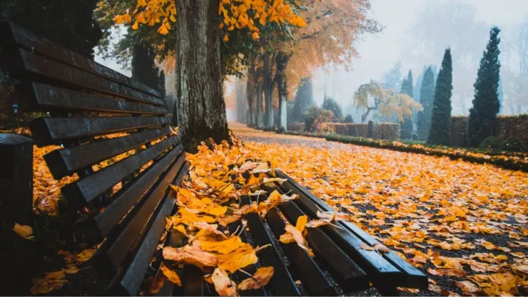 ¿Cuánto dura el otoño en México este 2026?