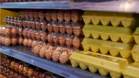 En las tiendas no se refrigeran porque mantienen su cutícula natural, que los protege fuera del frío.