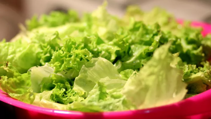 ¿Cómo desinfectar la lechuga? ¡Solo necesitas un ingrediente!