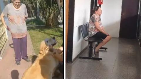 Denuncia a mujer que pidió a carnicero ‘faenar’ a su perro; video.jpg